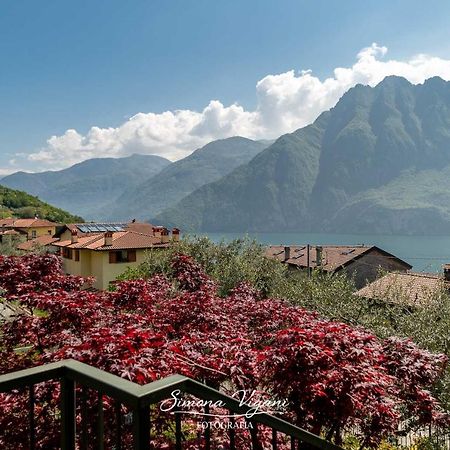 Apartament Casa Aria Riva di Solto Zewnętrze zdjęcie